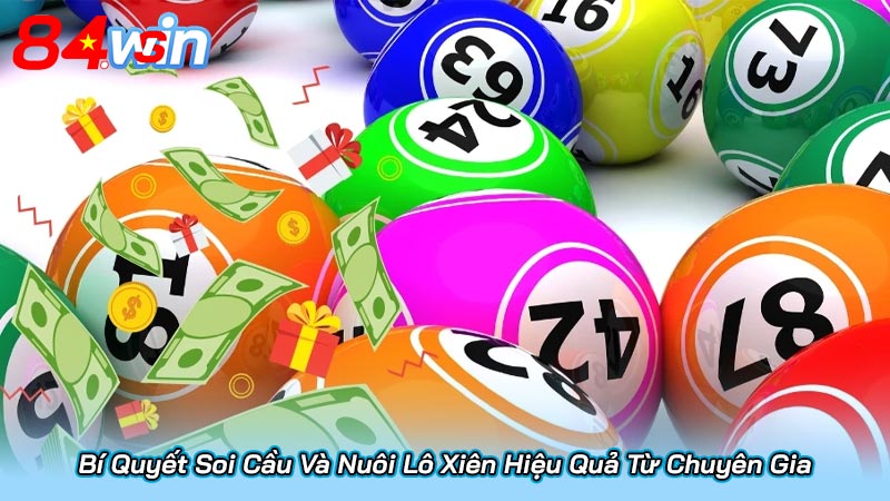 Bí Quyết Soi Cầu Và Nuôi Lô Xiên Hiệu Quả Từ Chuyên Gia