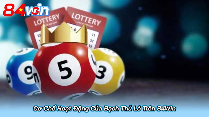 Bạch Thủ Lô Là Gì? Bật Mí Cách Chơi Và Chiến Thuật Tại 84Win 4 Cơ Chế Hoạt Động Của Bạch Thủ Lô Trên 84Win