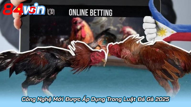 Công Nghệ Mới Được Áp Dụng Trong Luật Đá Gà 2025