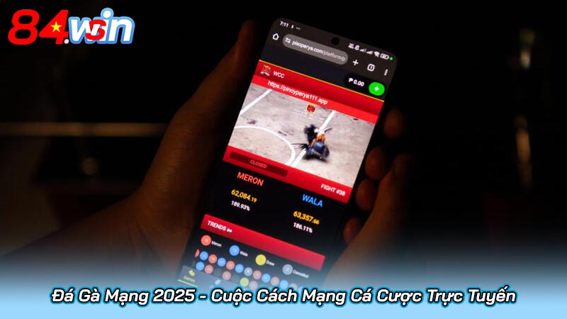 Đá Gà Mạng 2025 - Cuộc Cách Mạng Cá Cược Trực Tuyến 3 Đá Gà Mạng 2025 - Cuộc Cách Mạng Cá Cược Trực Tuyến