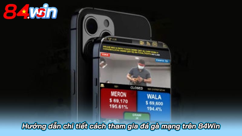 Đá Gà Mạng 2025 - Cuộc Cách Mạng Cá Cược Trực Tuyến 3 Hướng dẫn chi tiết cách tham gia đá gà mạng trên 84Win