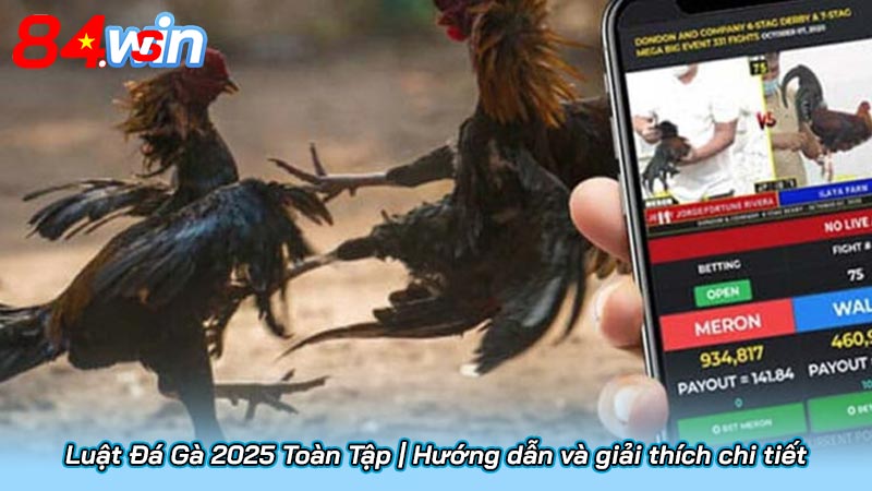 Luật Đá Gà 2025 Toàn Tập | Hướng dẫn và giải thích chi tiết 2 Luật Đá Gà 2025 Toàn Tập | Hướng dẫn và giải thích chi tiết