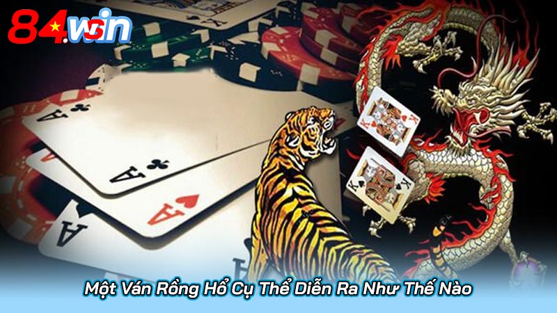 Một Ván Rồng Hổ Cụ Thể Diễn Ra Như Thế Nào