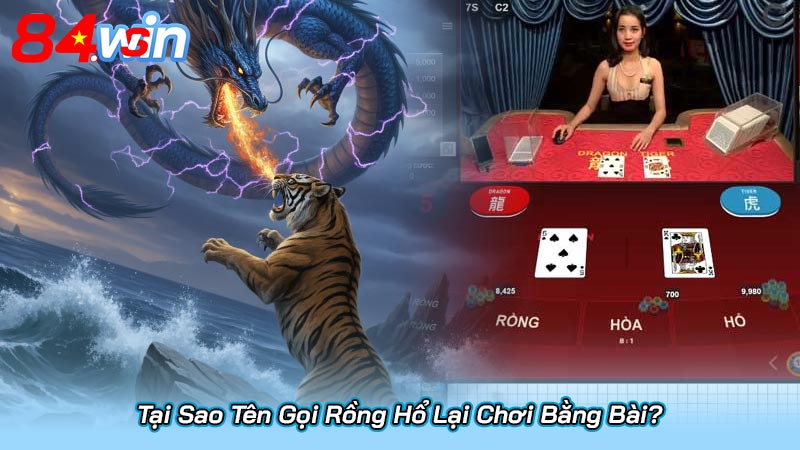 Tại Sao Tên Gọi Rồng Hổ Lại Chơi Bằng Bài?
